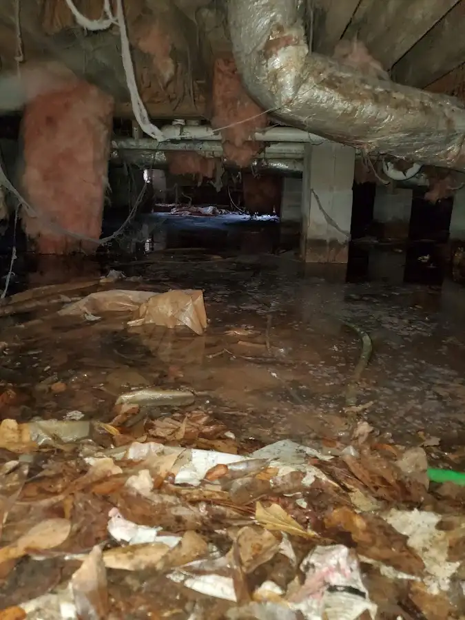 Crawl space flood assessment for Commercial Water Damage Restoration in Ben Lomond