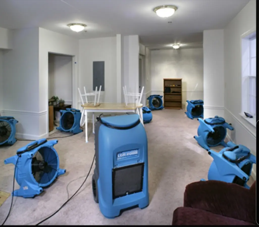 Air movers and dehumidifier setup for Water Extraction & Removal in Ben Lomond