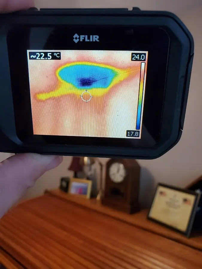Thermal imaging inspection for water damage in Ben Lomond